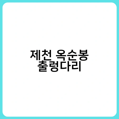 제천 옥순봉 출렁다리 4