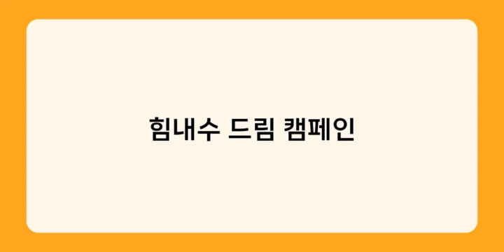 힘내수 드림 캠페인의 주요 프로그램은 무엇일까? 청년 지원 사업 소개