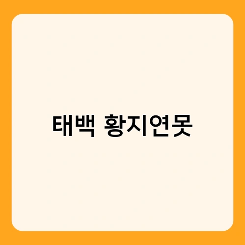 태백 황지연못 2