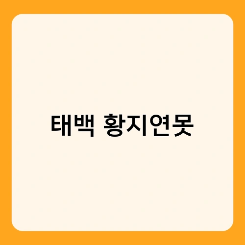 태백 황지연못 1