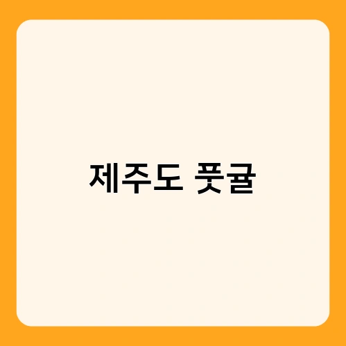 제주도 풋귤 2