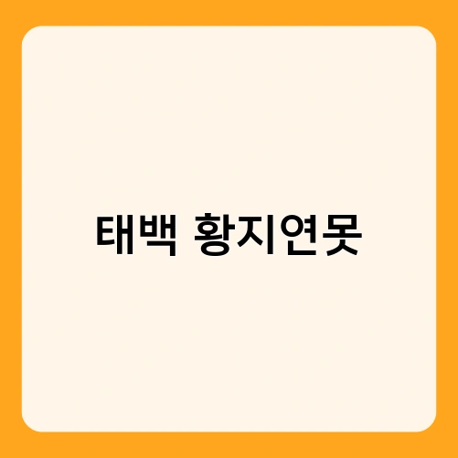 태백 황지연못