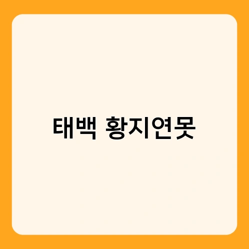 태백 황지연못 3
