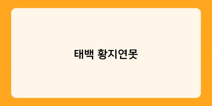 태백 황지연못 숨은 명소 탐방기! 인생샷 건지는 포토존은?