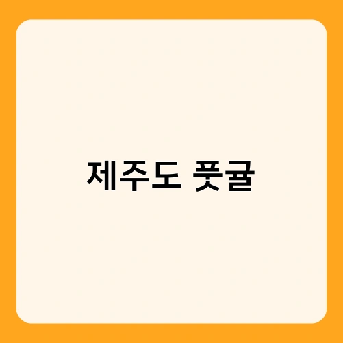 제주도 풋귤