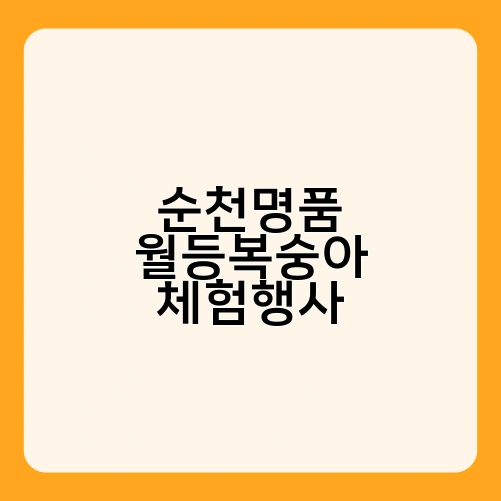 순천명품 월등복숭아 체험행사 1