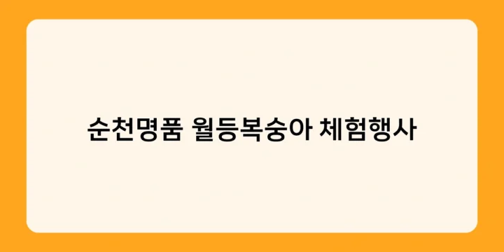 순천명품 월등복숭아 체험행사로 맛과 재미를 한번에!