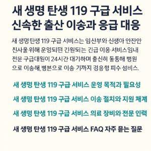 새 생명 탄생 119 구급 서비스 (3)