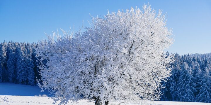 2026 희망온돌 따뜻한 겨울나기 참여 안내 | 신청 방법과 지원 내용 총정리